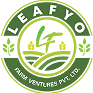 913e5f_2368235a0bb64118845fd09c7dd8a6b7~mv2