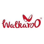 913e5f_2ef1bcf842af4b00acc6cbba52000852~mv2